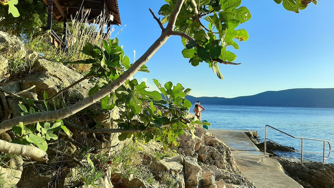 Photo of Outdoor in Salatic