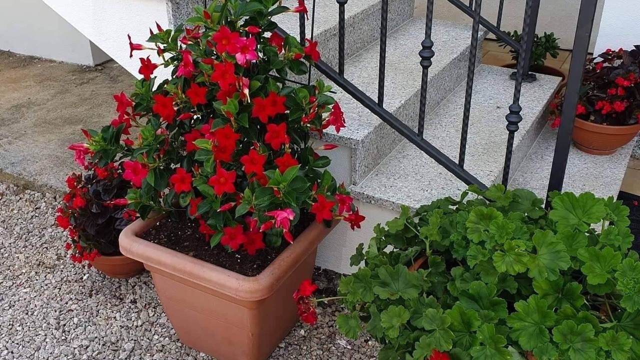 Photo of Outdoor in Salatic
