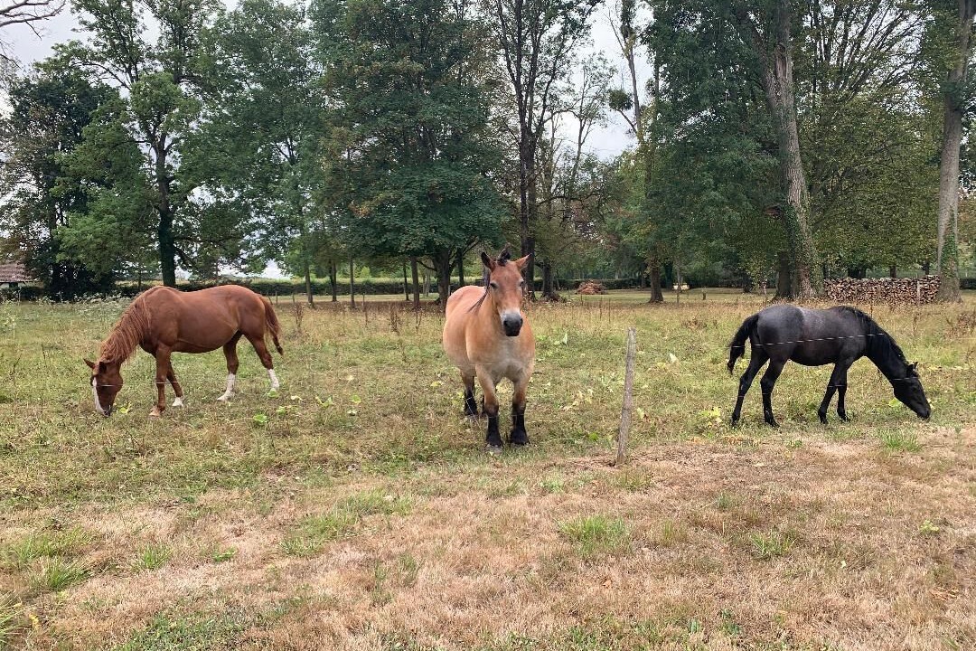 Photo of Outdoor in Les Chapelles-Bourbon