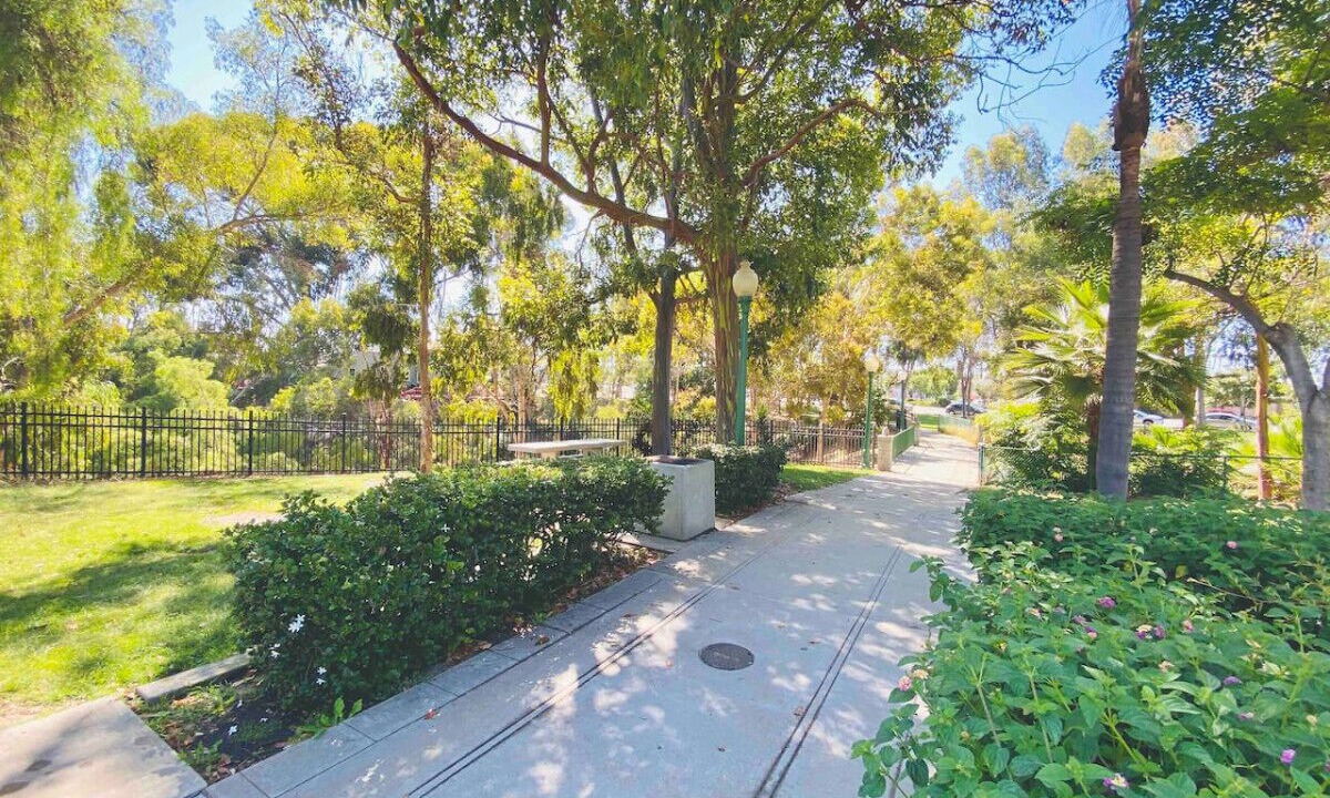 Photo of Outdoor in University Heights