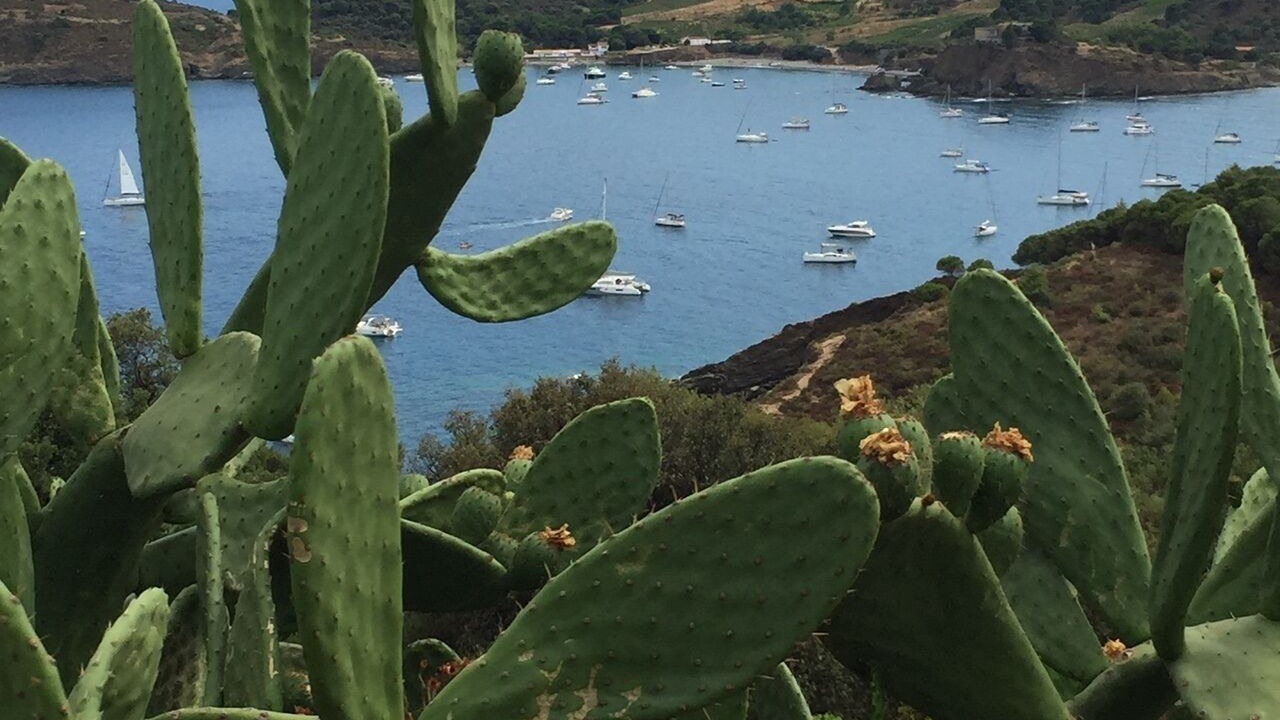 Photo of Outdoor in Port-Vendres