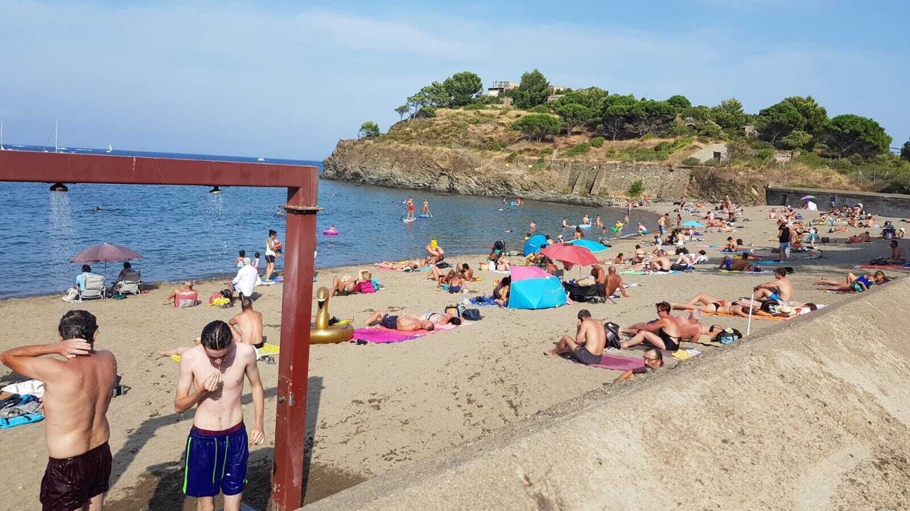 Photo of Others in Port-Vendres