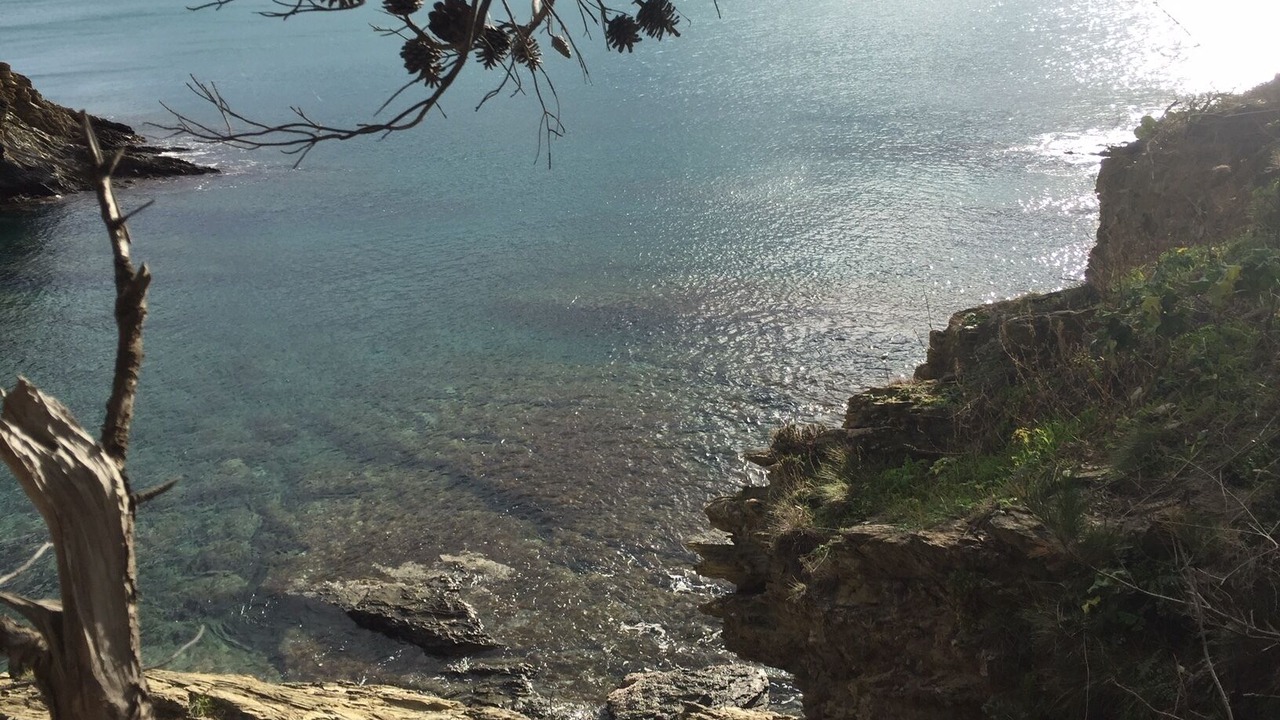 Photo of Others in Port-Vendres