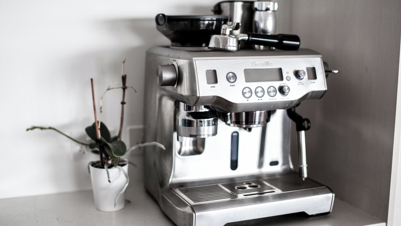 Photo of Others in Bilgola Beach