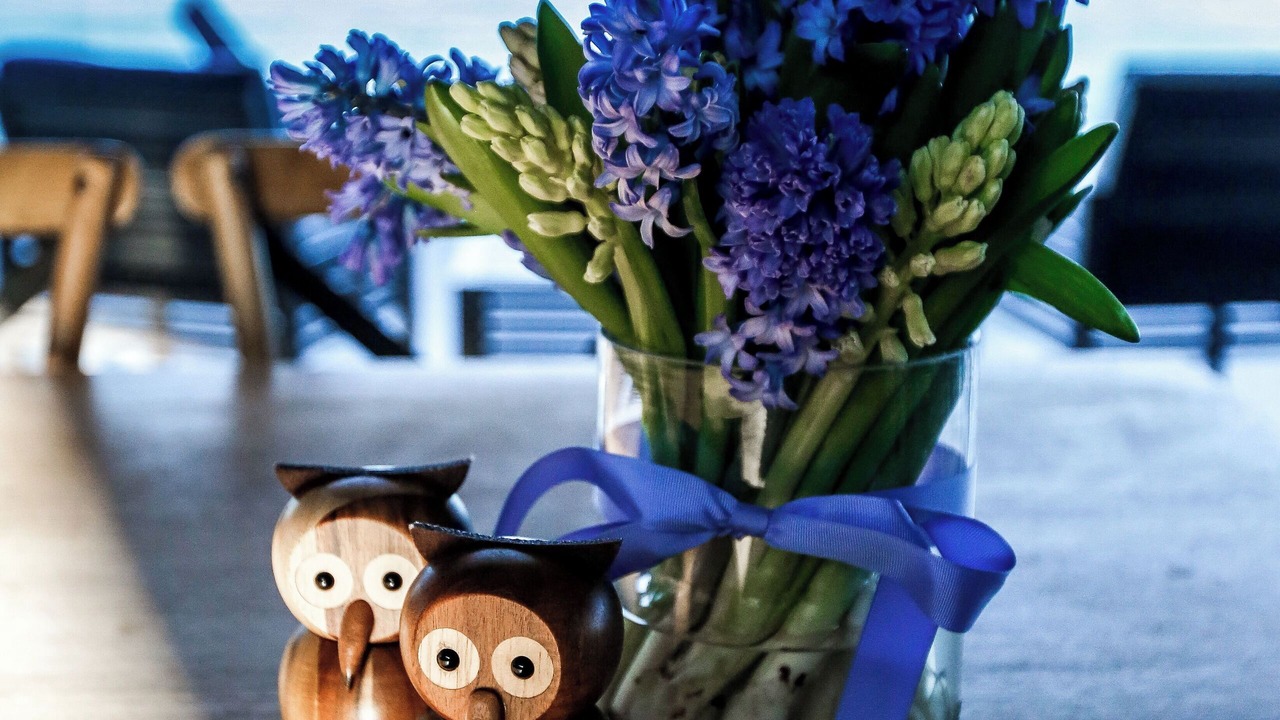 Photo of Others in Bilgola Beach