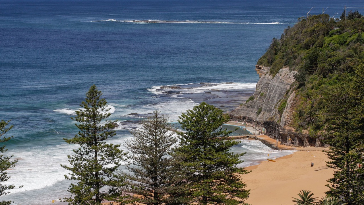 Photo of Others in Bilgola Beach