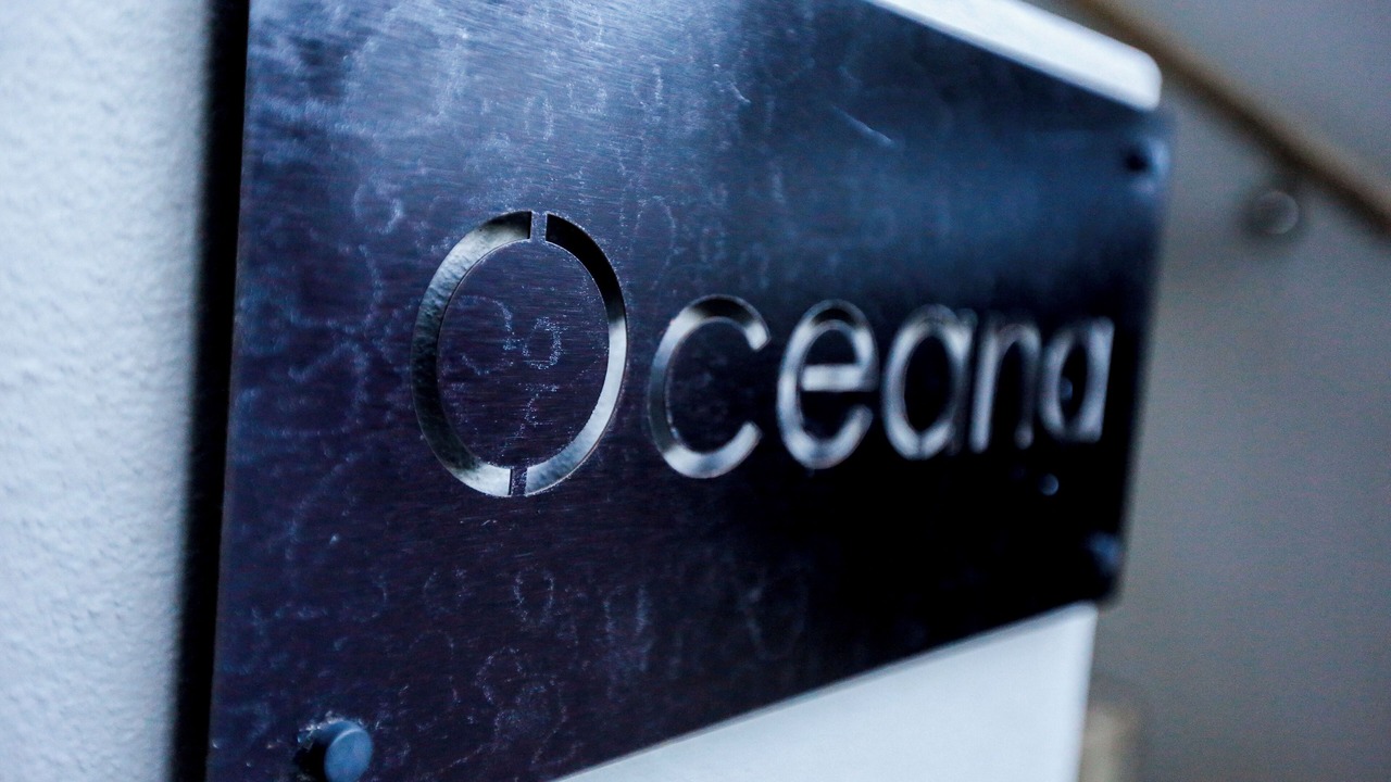 Photo of Others in Bilgola Beach