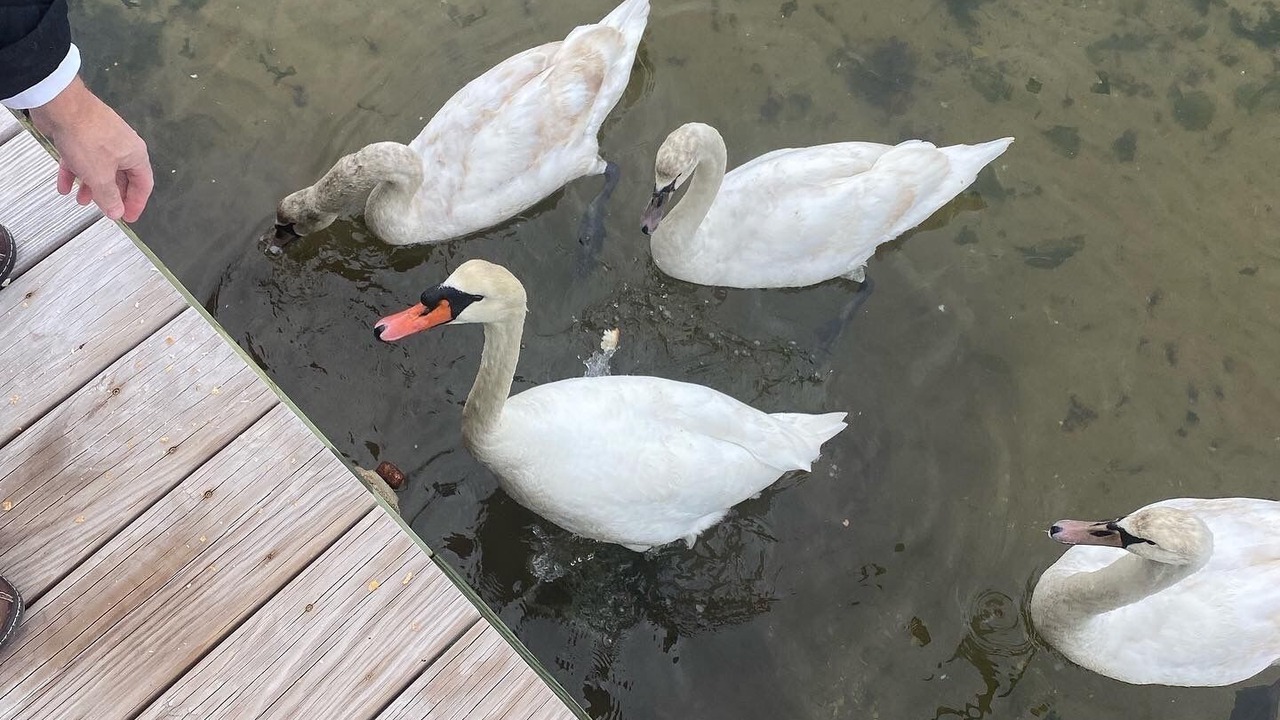 Photo of Others in Osbornsville