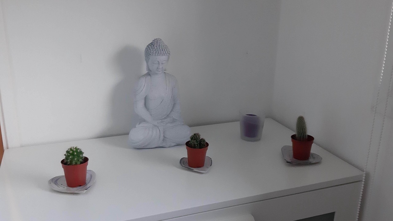 Photo of Others in Saint-Broladre