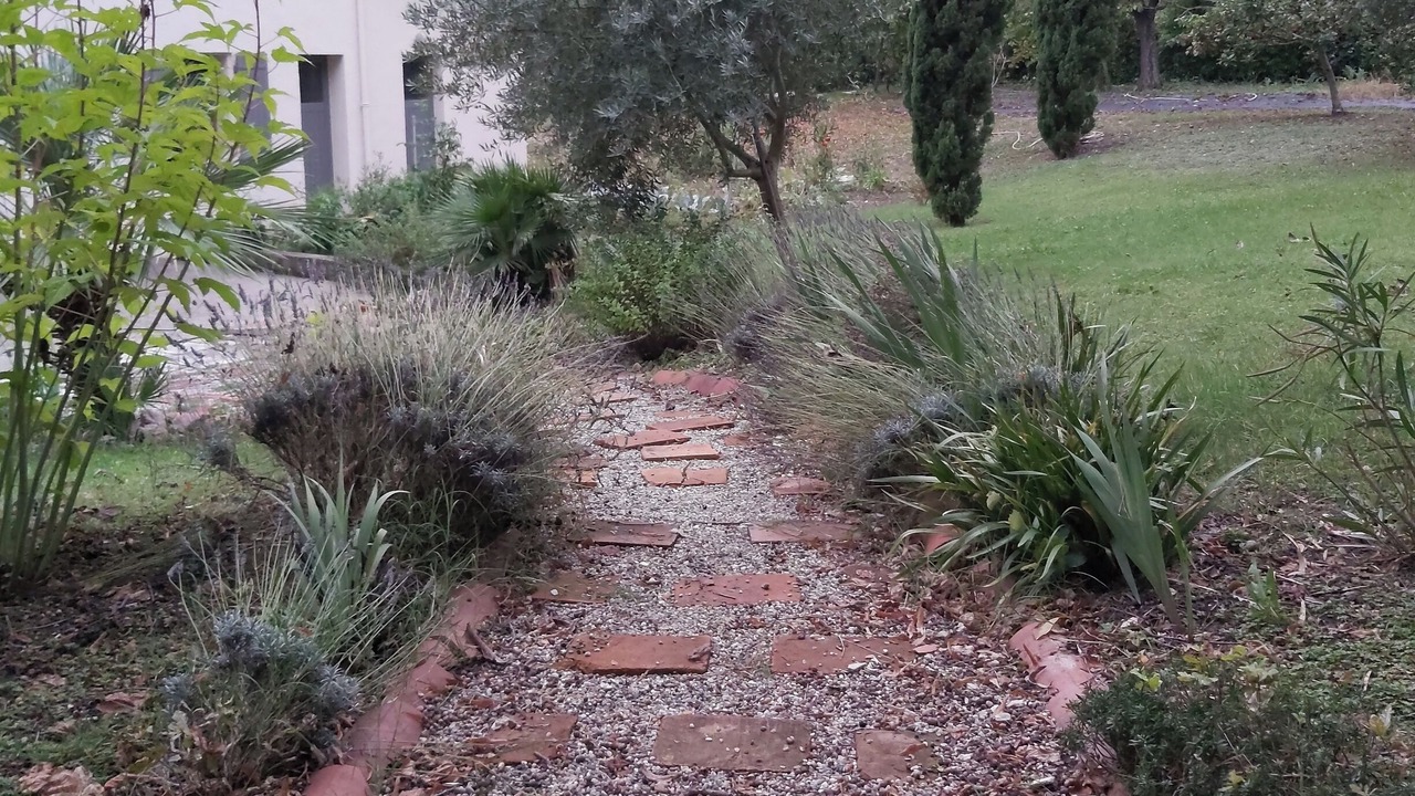 Photo of Outdoor in Francescas