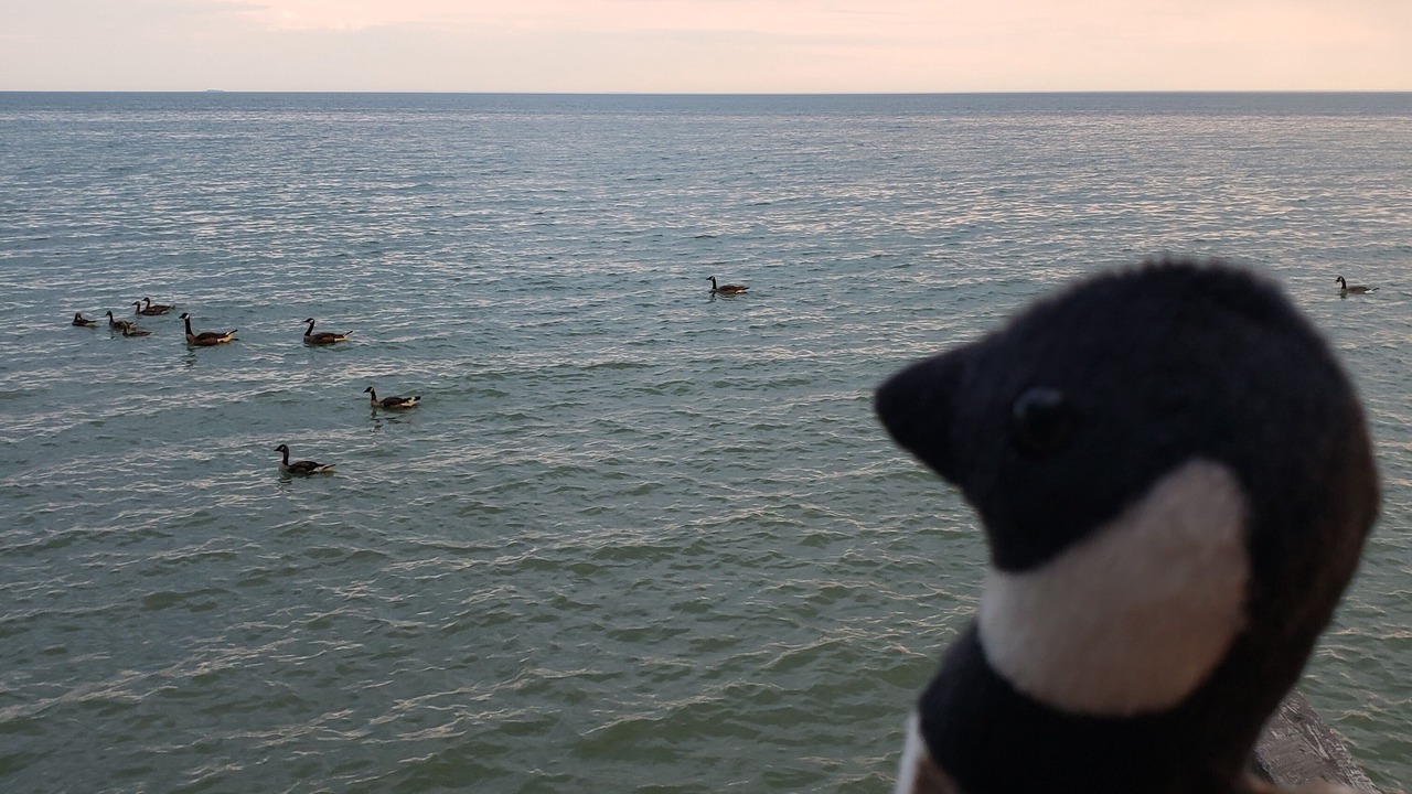 Photo of Others in Levergood Beach