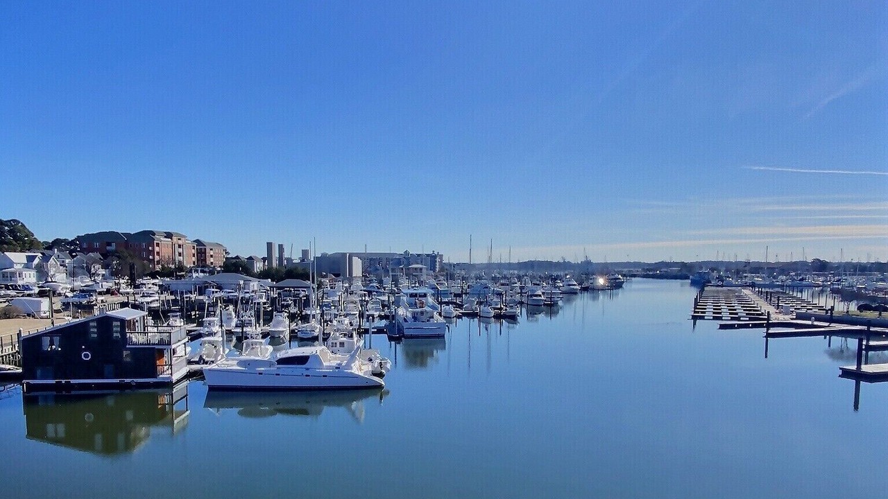 Photo of Others in North Camellia Acres