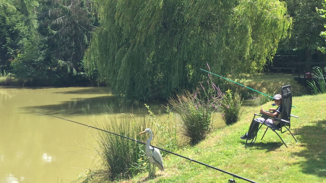 Photo of Outdoor in Marcilly-en-Gault