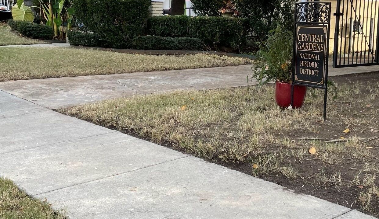 Photo of Outdoor in Central Gardens