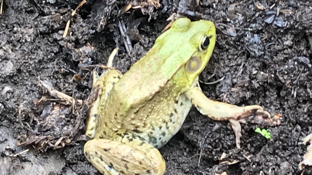 Photo of Outdoor in Mount Marion