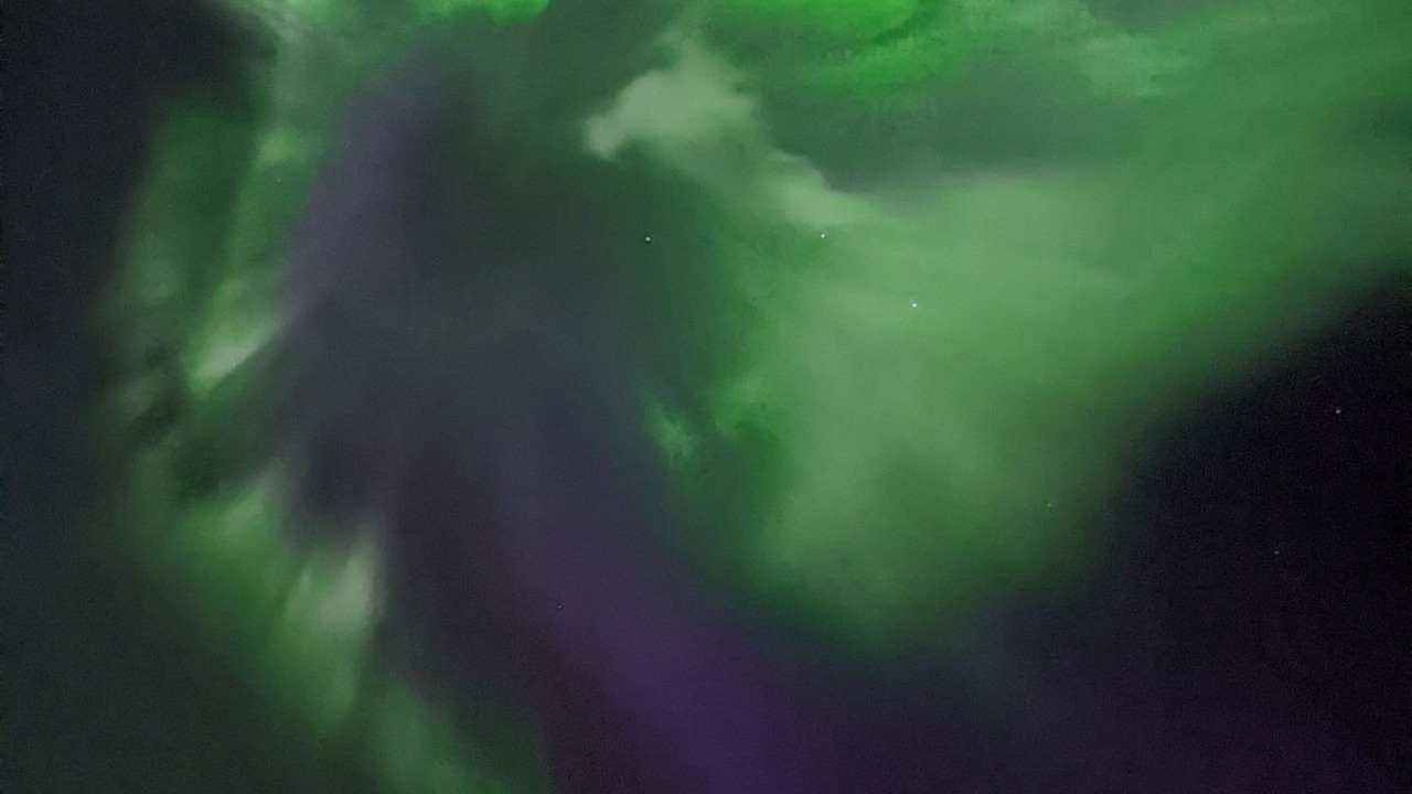 Photo of Others in Willow
