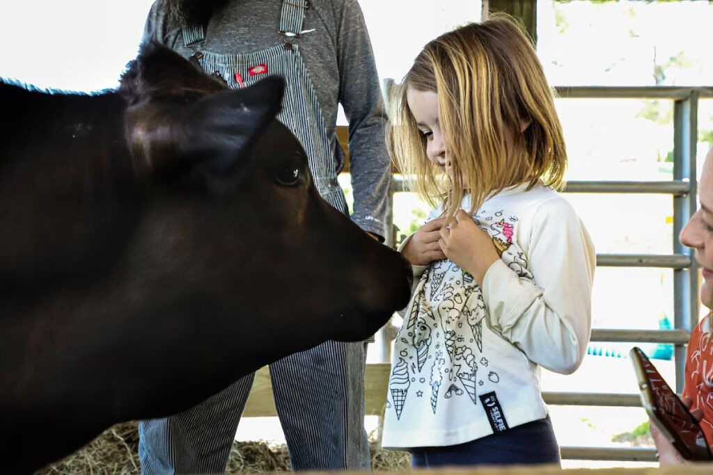 Photo of Others in Putnam Hall