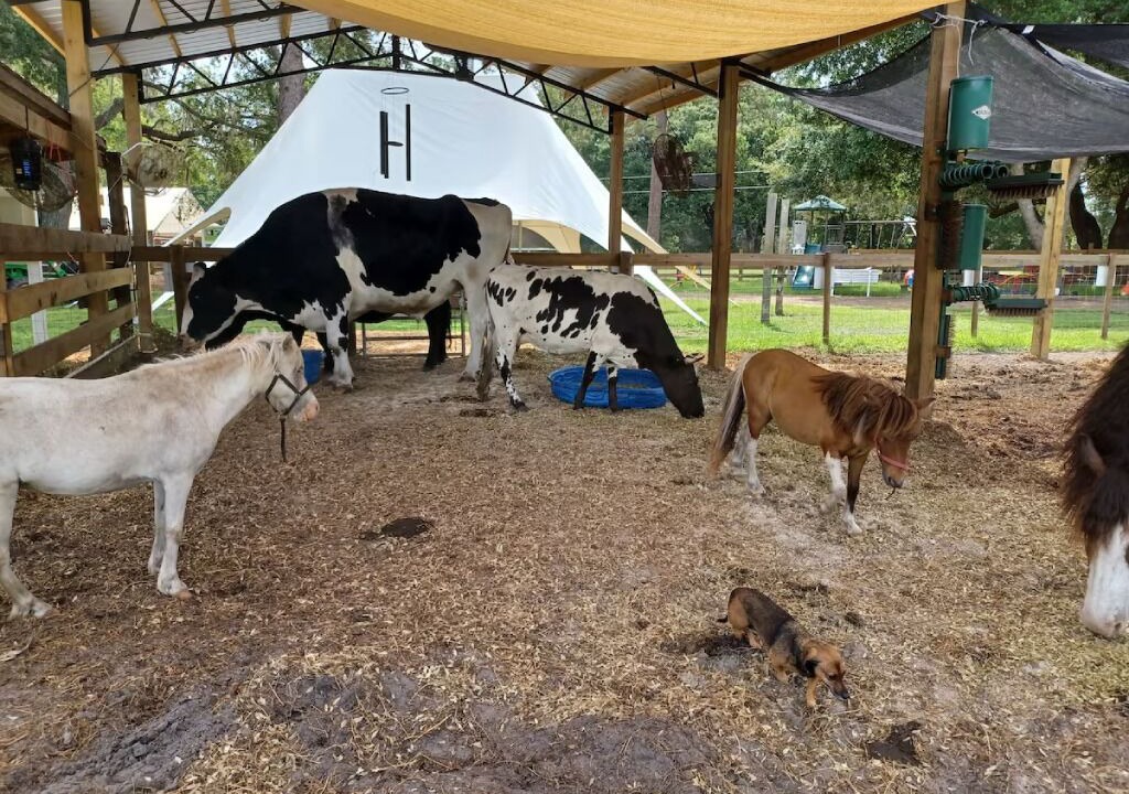 Photo of Others in Putnam Hall