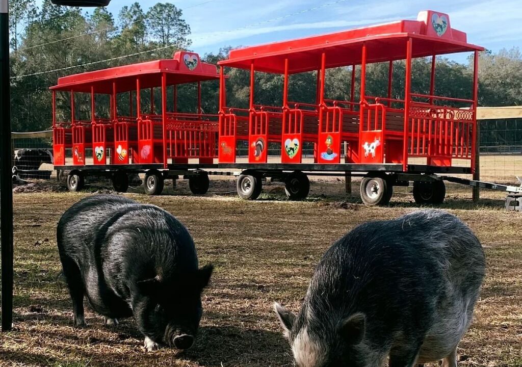 Photo of Others in Putnam Hall