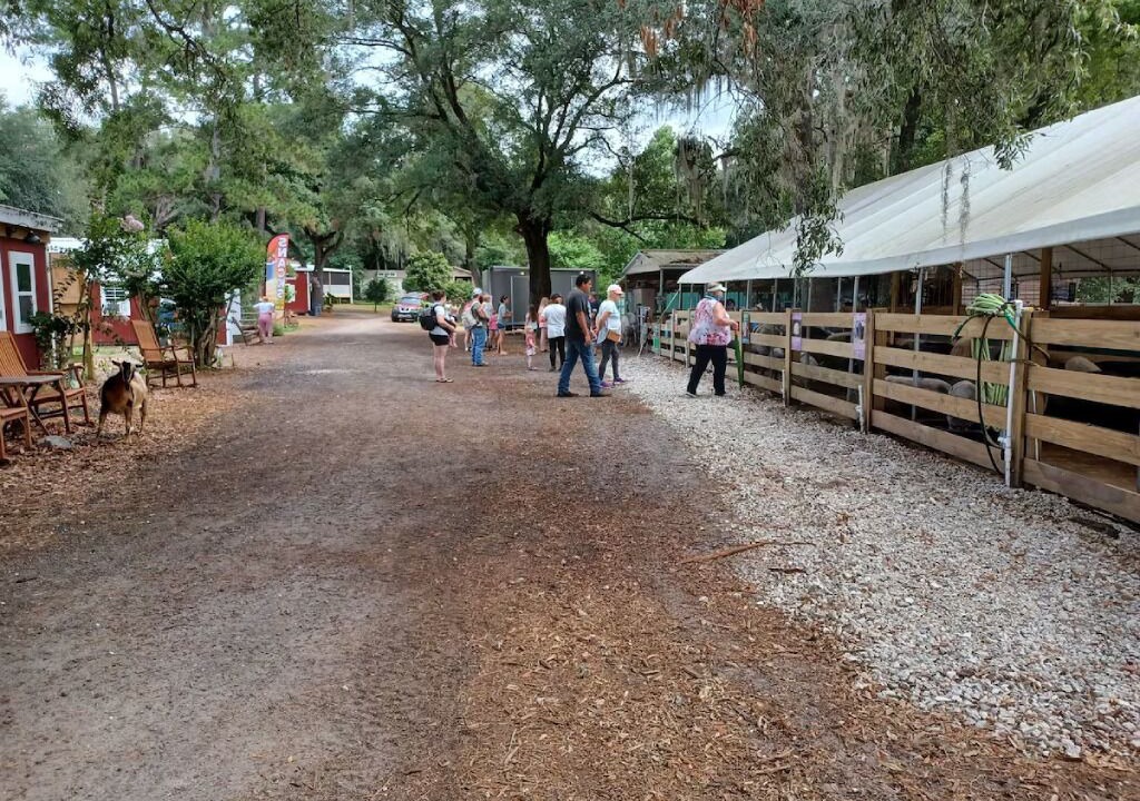 Photo of Others in Putnam Hall