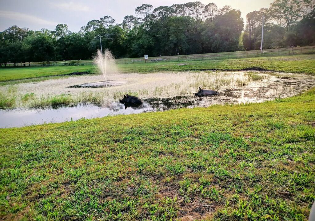 Photo of Others in Putnam Hall