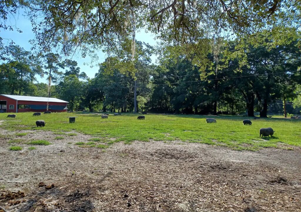 Photo of Others in Putnam Hall