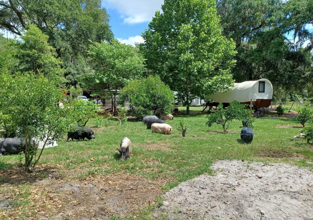 Photo of Others in Putnam Hall