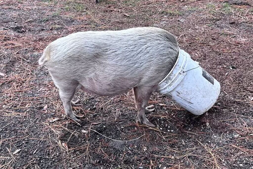 Photo of Others in Putnam Hall