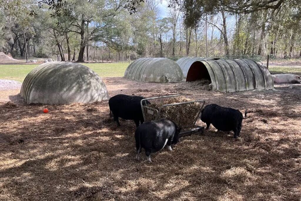 Photo of Others in Putnam Hall