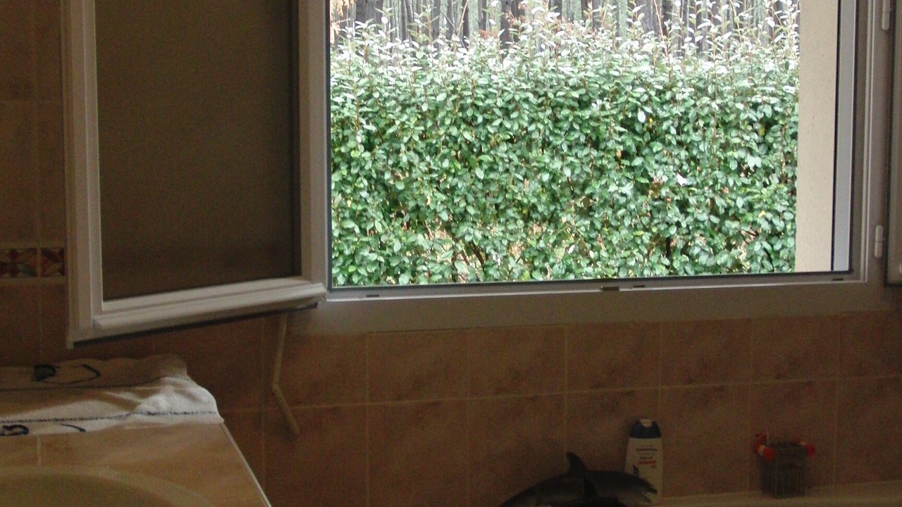 Photo of Bathroom in Lit-et-Mixe