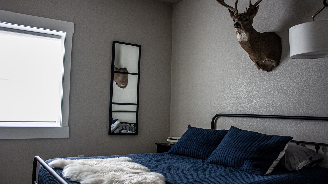 Photo of Bedroom in Edgemont