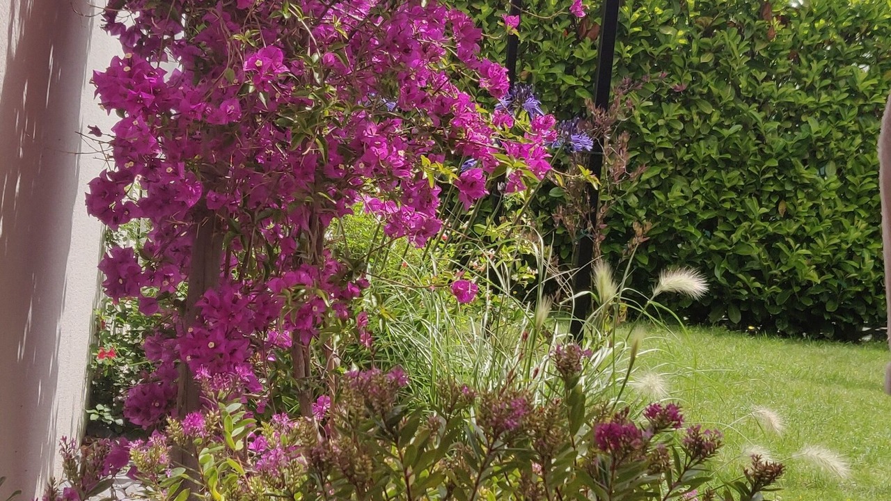 Photo of Outdoor in Sene