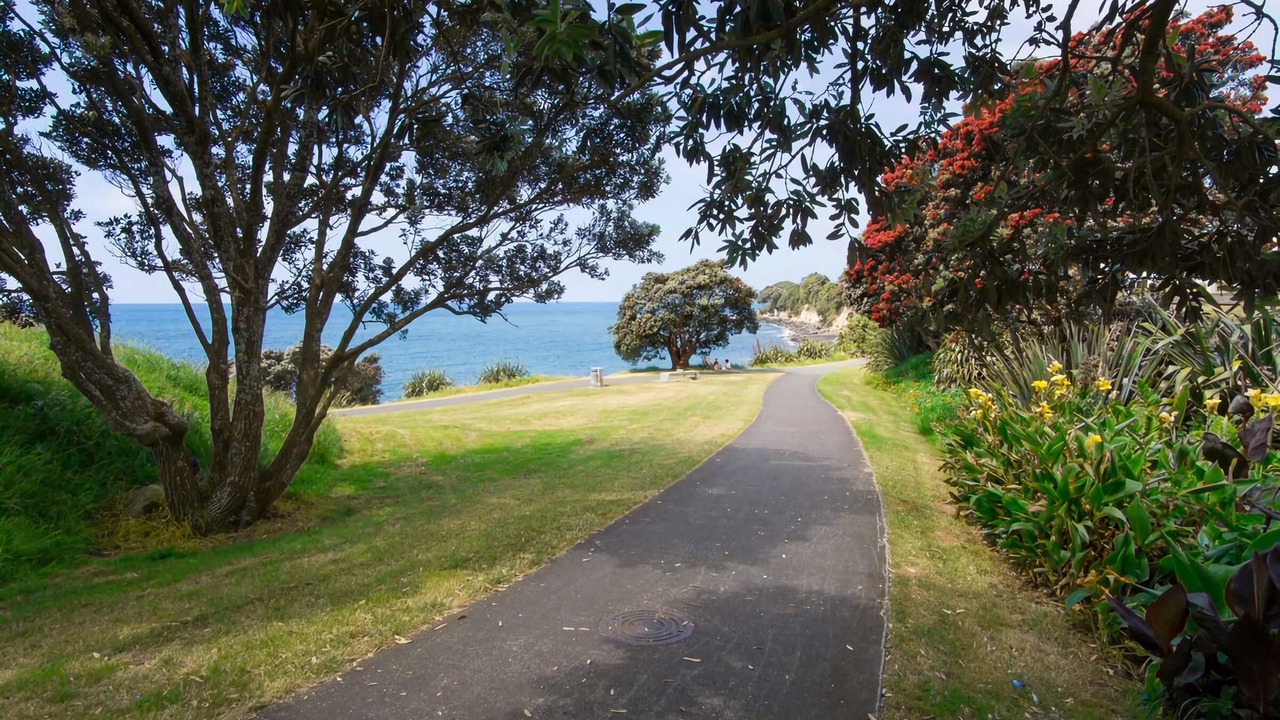 Photo of Outdoor in New Plymouth