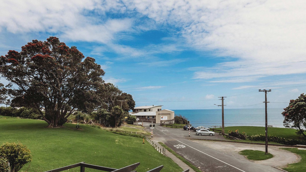 Photo of Others in New Plymouth