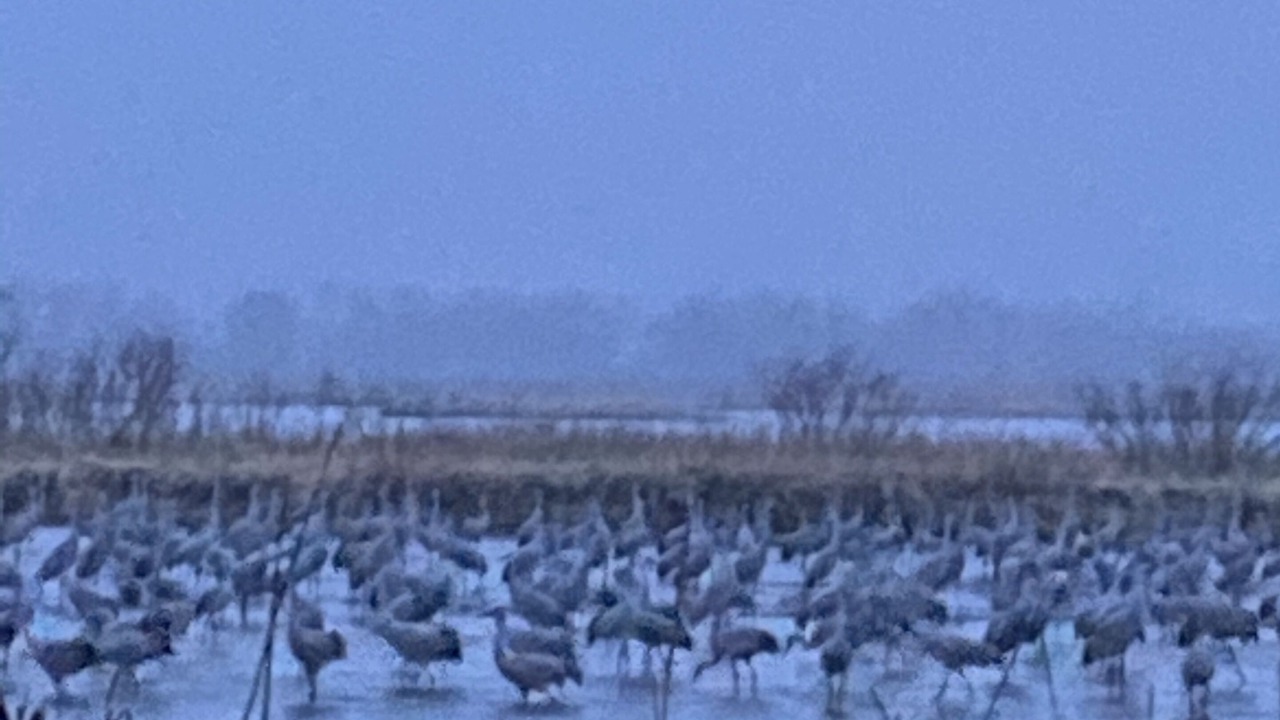 Photo of Others in Buffalo County