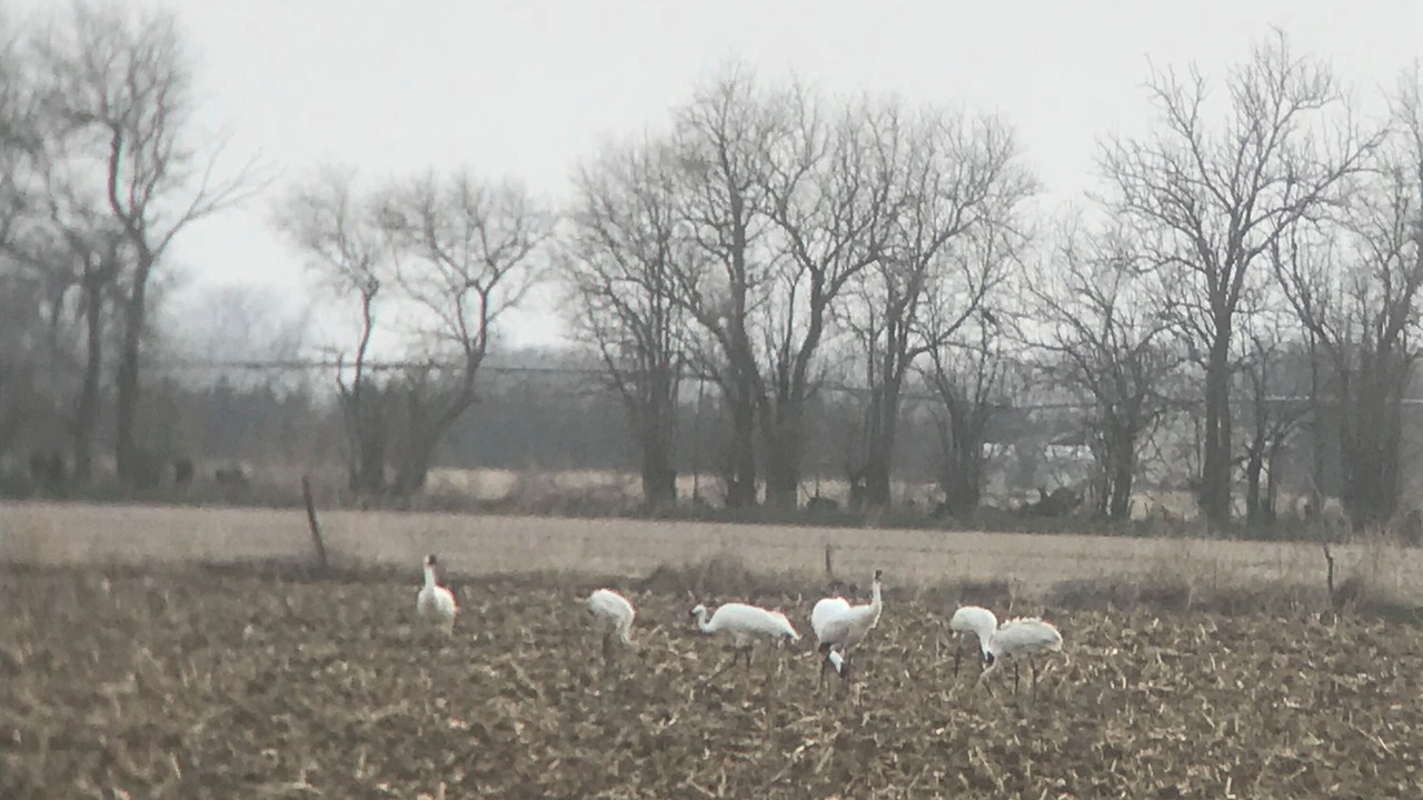 Photo of Others in Buffalo County