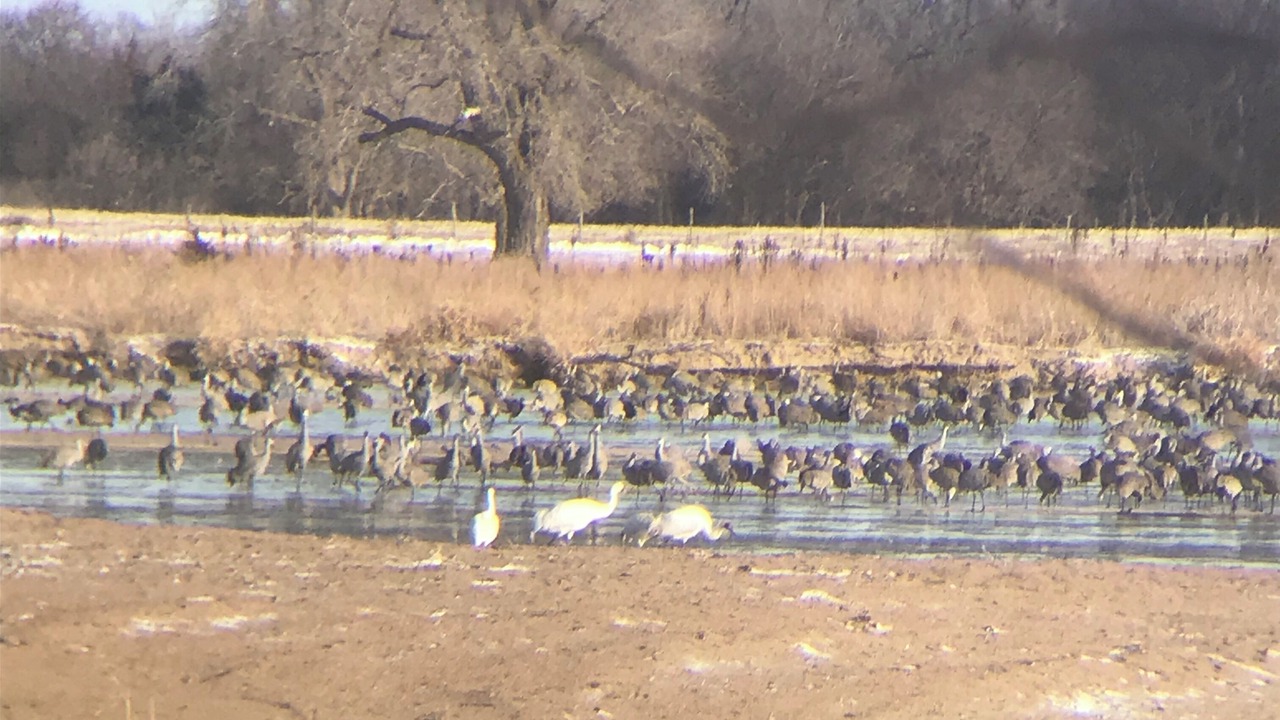 Photo of Outdoor in Buffalo County