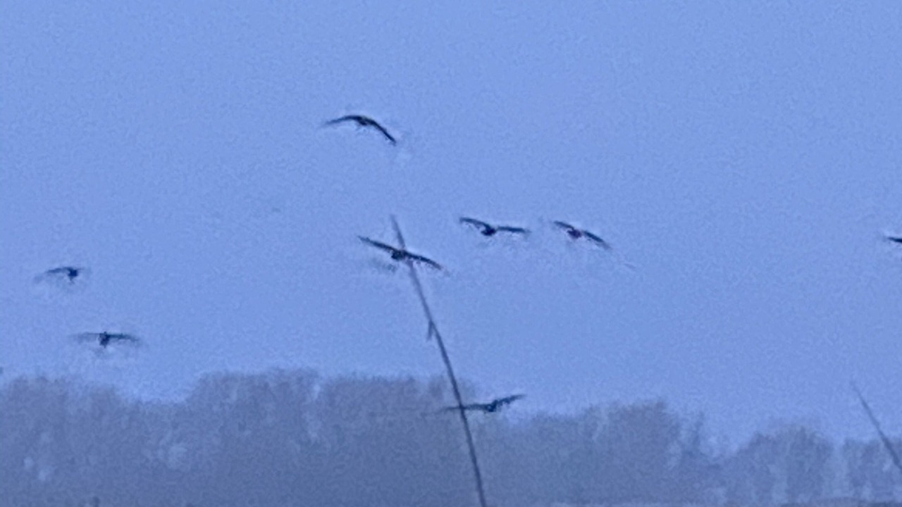 Photo of Others in Buffalo County