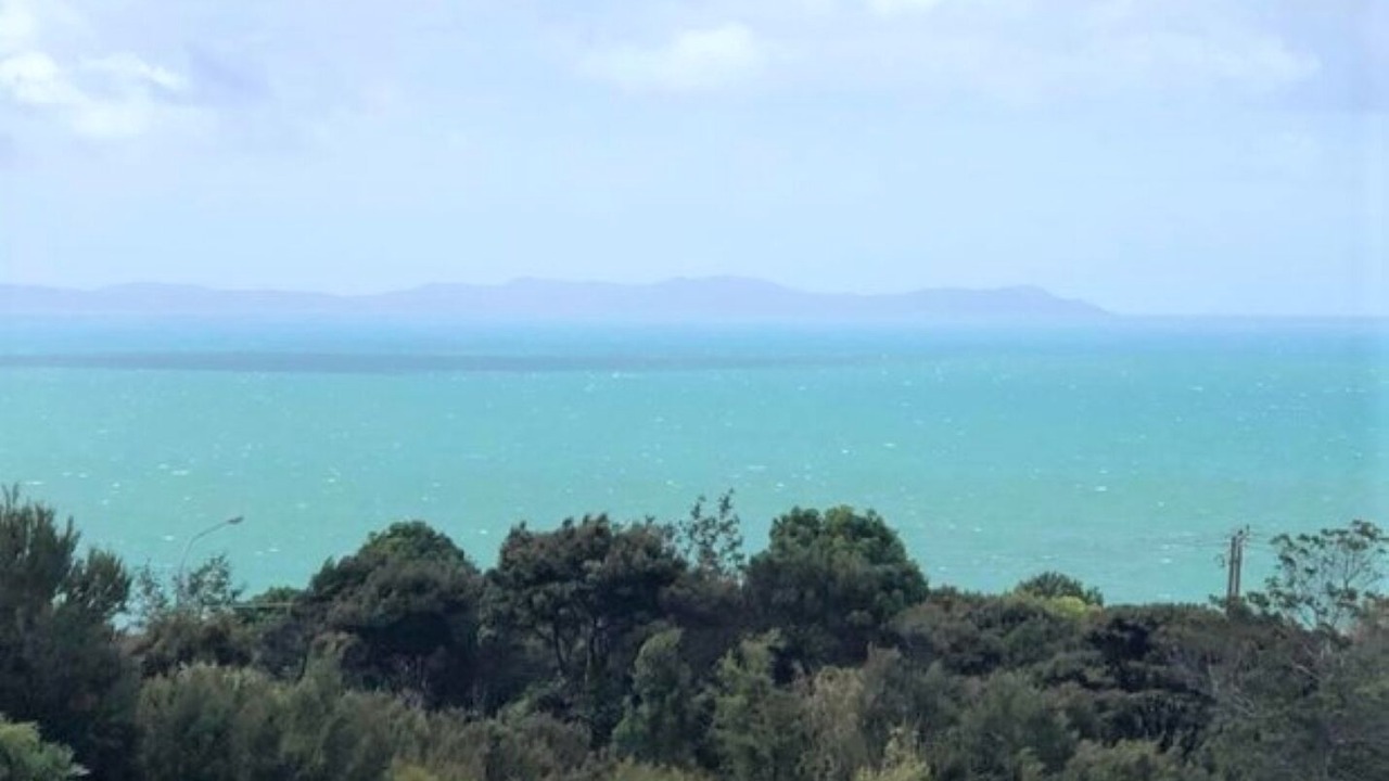 Photo of Others in Cable Bay