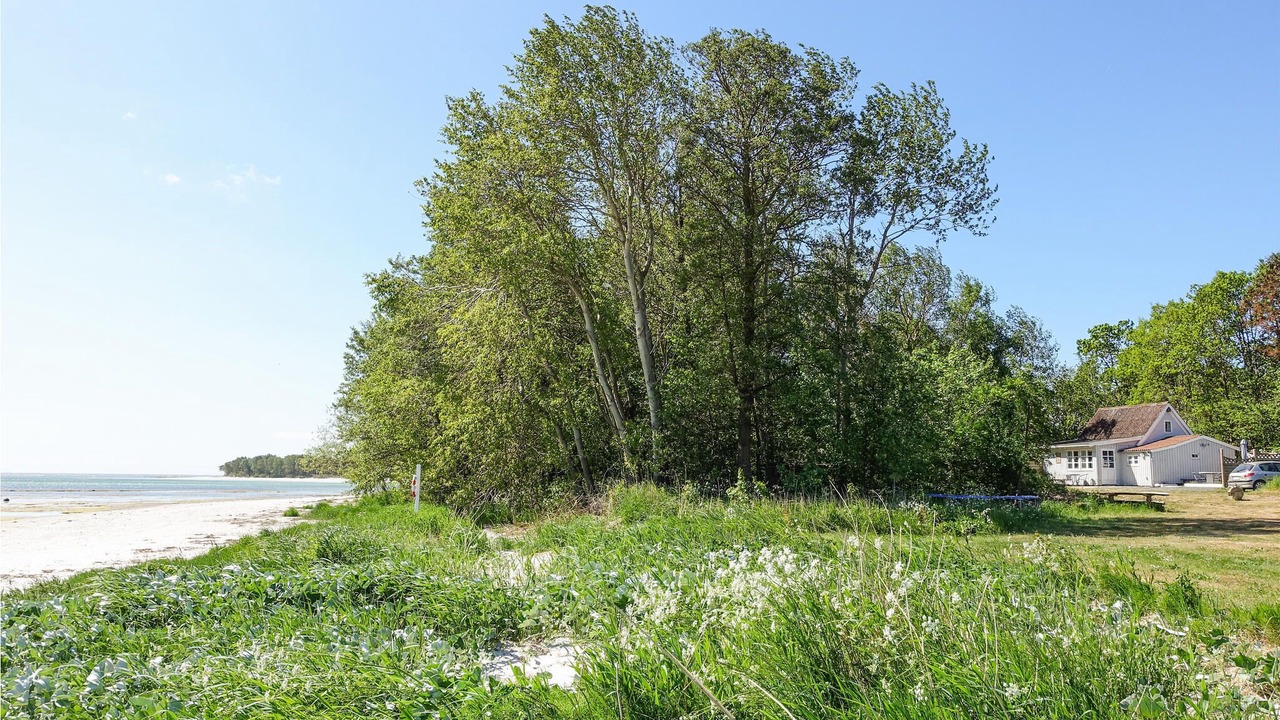 Photo of Others in Snogebaek