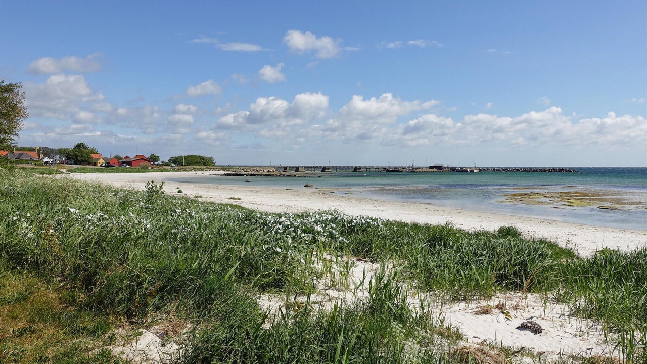 Photo of Others in Snogebaek