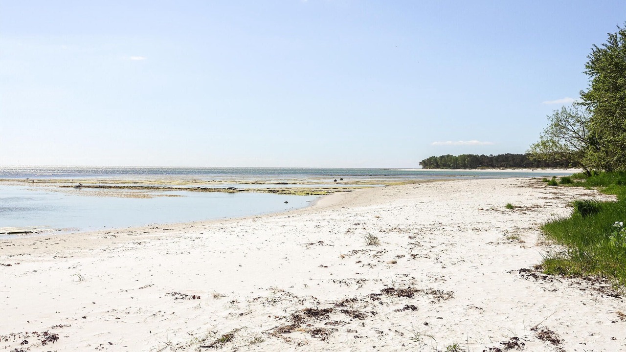 Photo of Others in Snogebaek