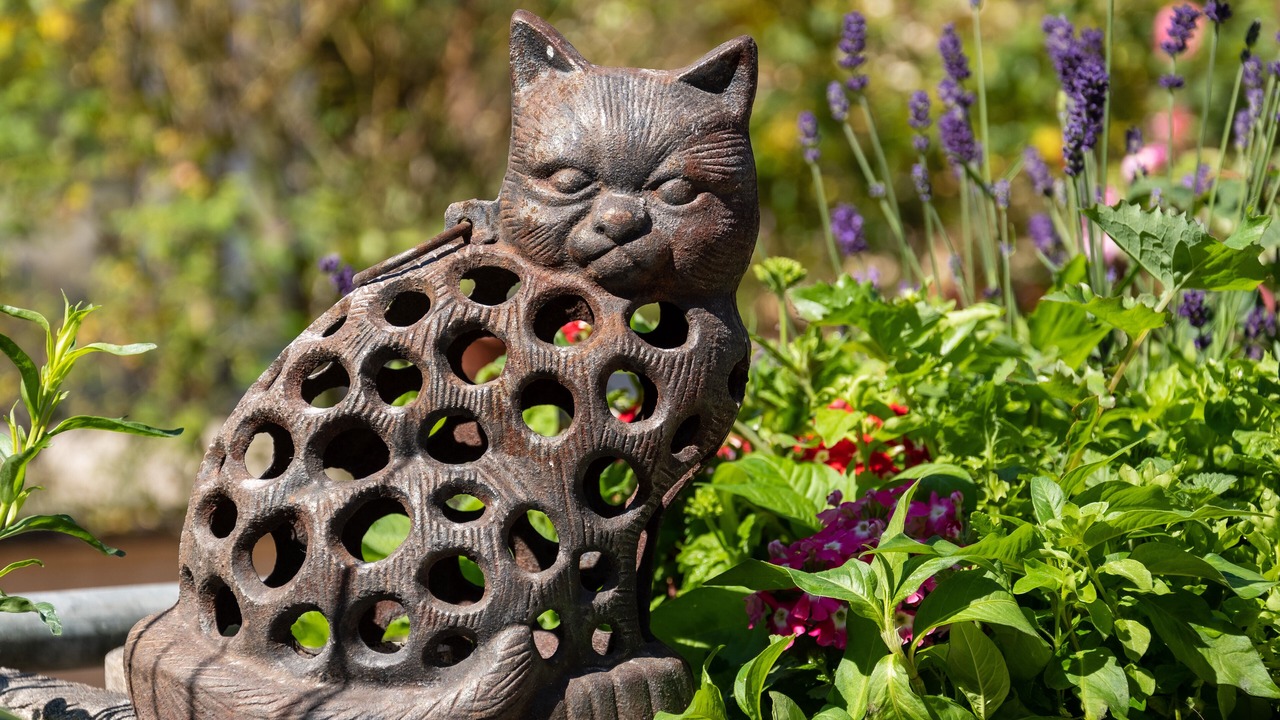 Photo of Outdoor in Fleurines