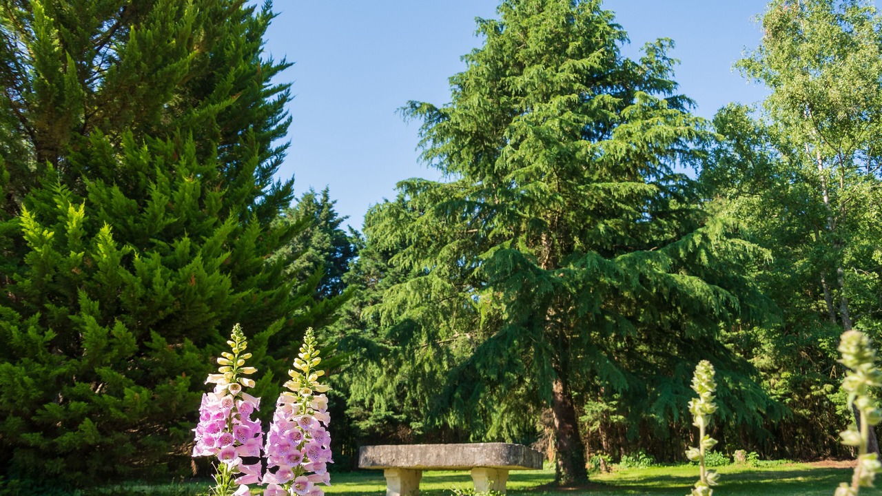 Photo of Outdoor in Fleurines