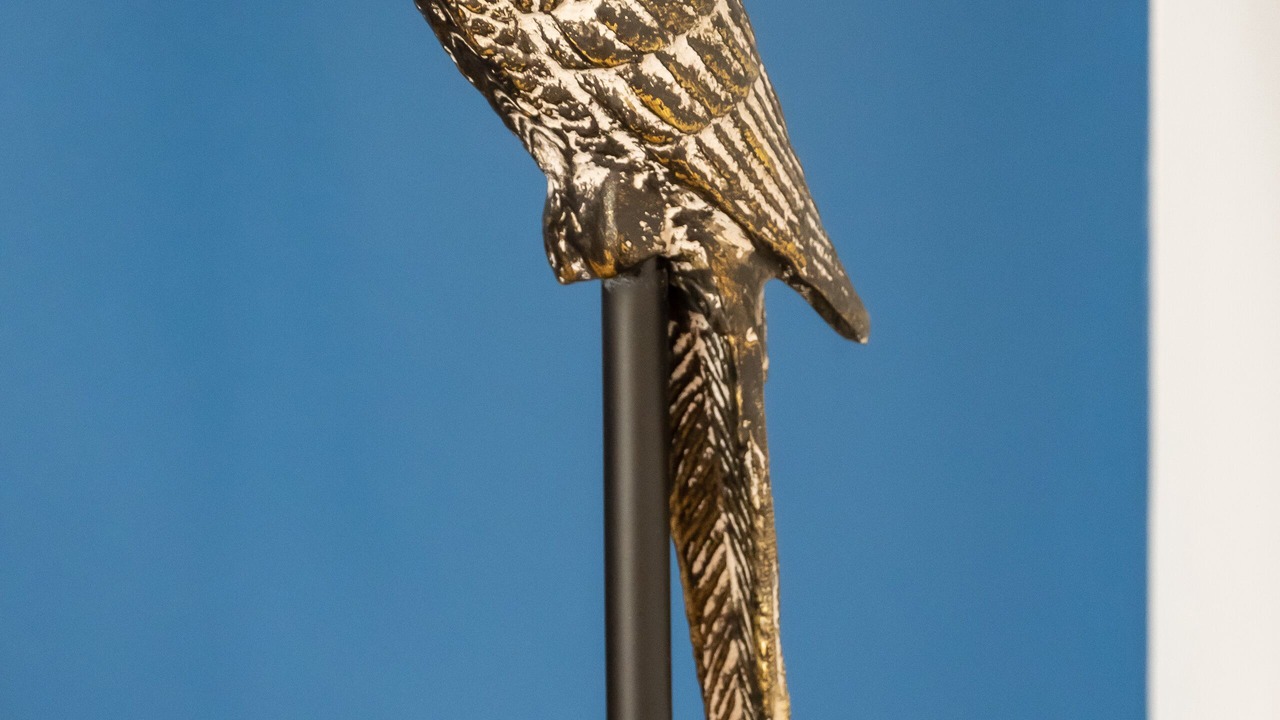 Photo of Others in Fleurines