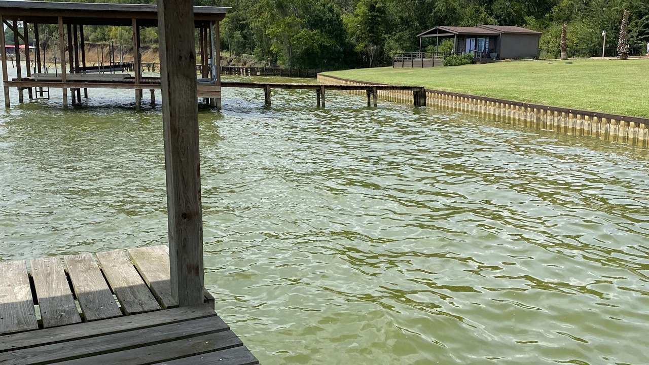 Photo of Others in West Livingston