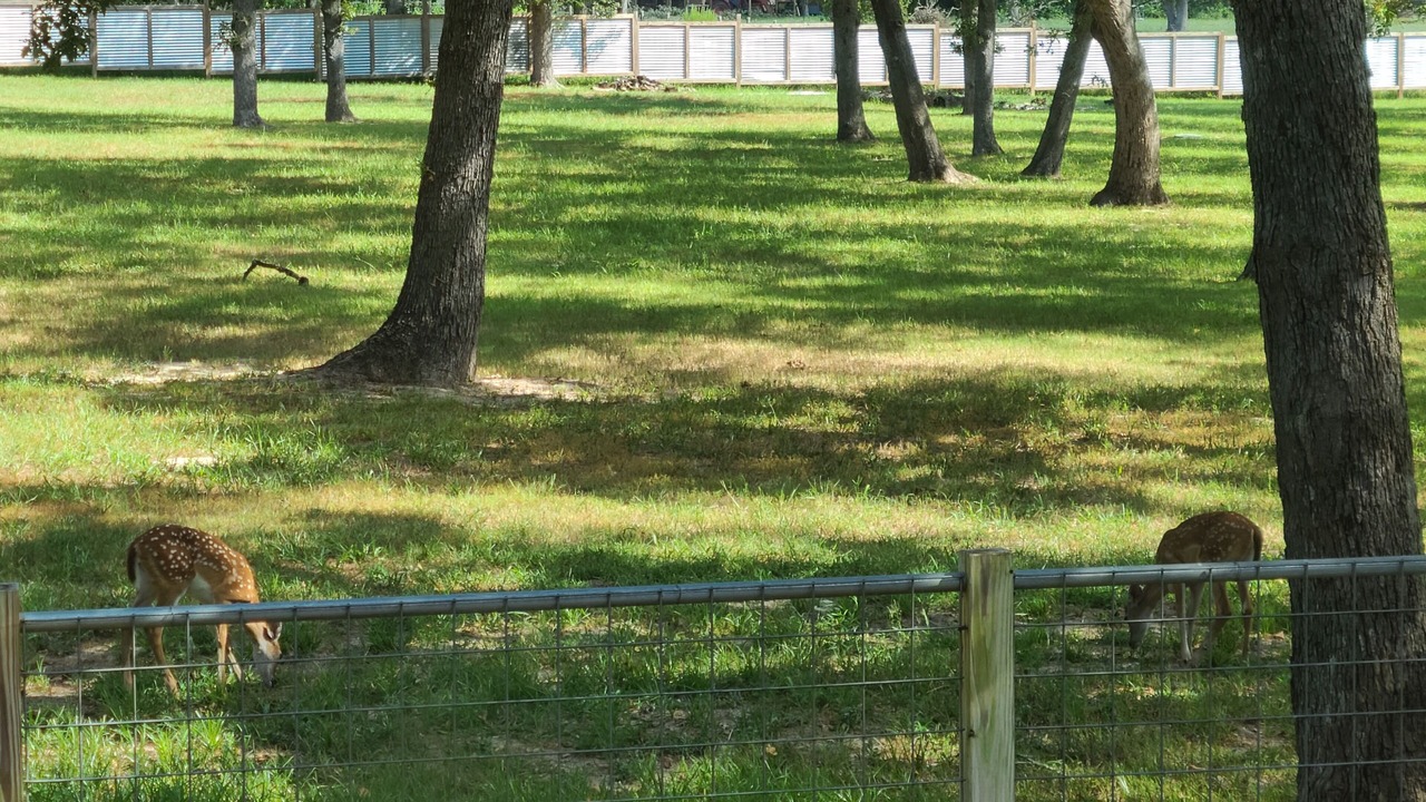 Photo of Others in Lee County
