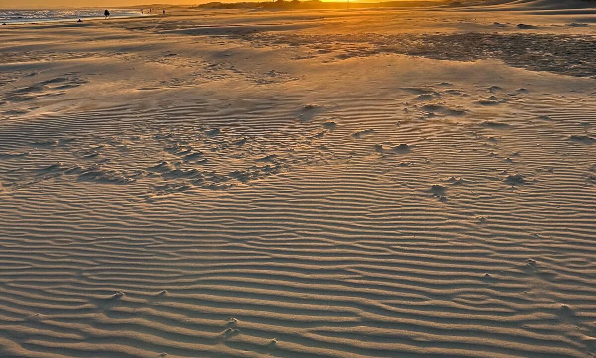 Photo of Others in Boat Harbour