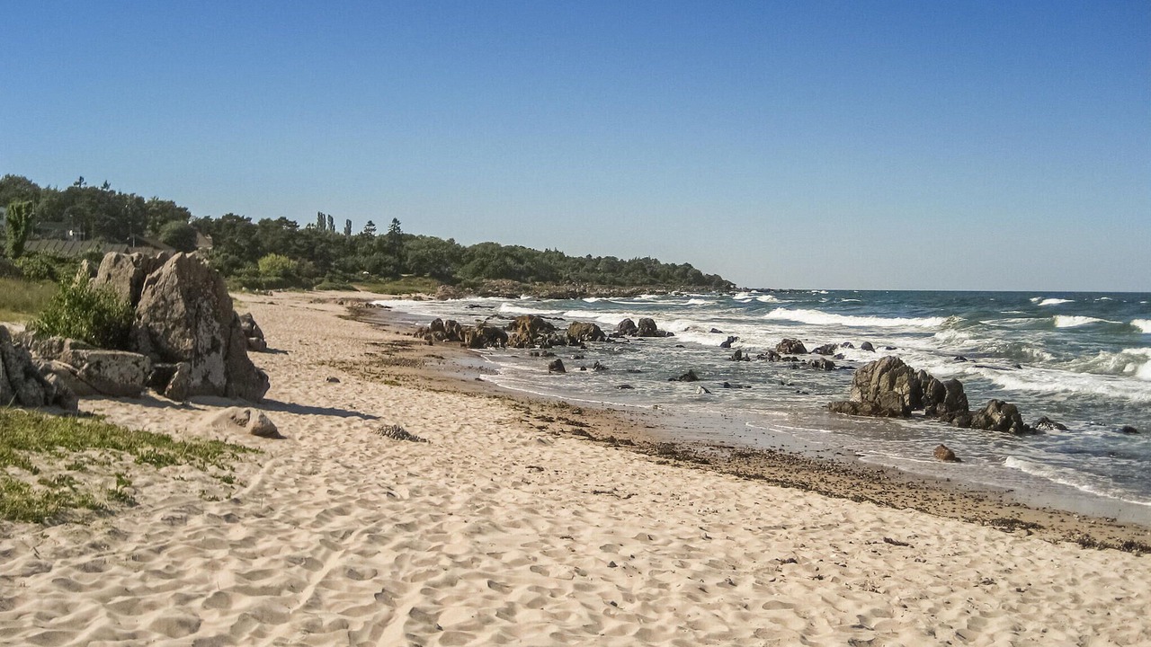 Photo of Others in Sandkaas