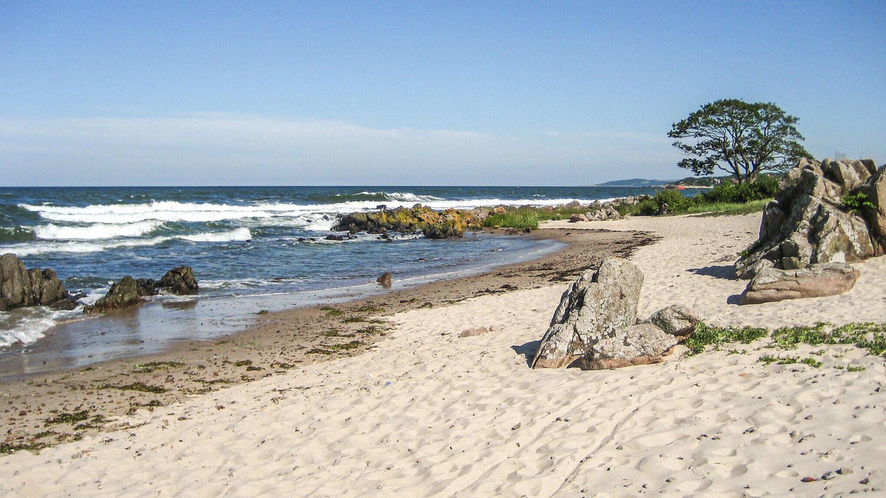 Photo of Others in Sandkaas